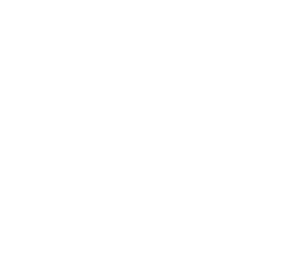 Gina Taro Photography logo